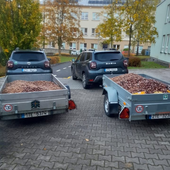 🍂 Kaštánkobraní a žaludobraní v MŠ Školská 🐿️🦌Podzimní příroda nám nadělila…