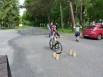 IMG_20240503_104456 - 
