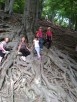 IMG_20240620_135357 - 