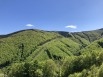 IMG_1888 - 